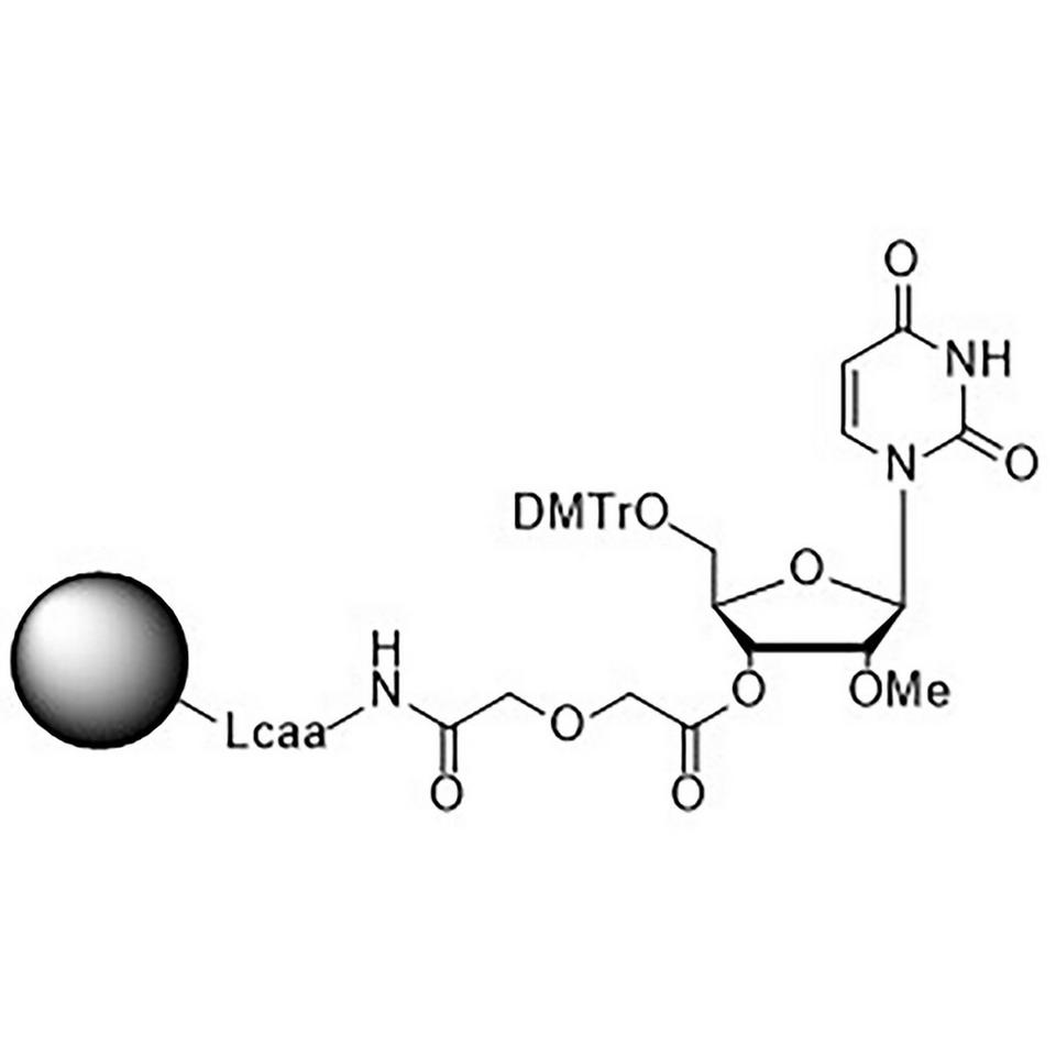 5'-DMT-2'-Methyl-U Glycolate CPG, 1000 Å, Standard Loading, 1 g
